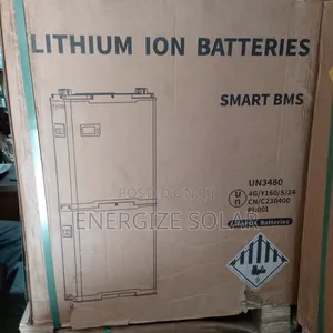 5kwh 24v Blue Carbon Lithium Battery With Smart BMS