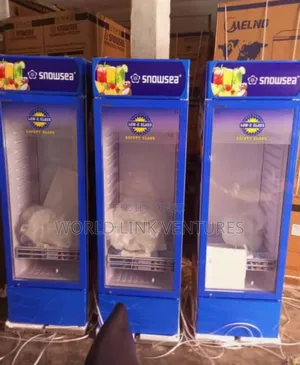 Snowsea Show Glass Standing Fridge Intelligence Freezing