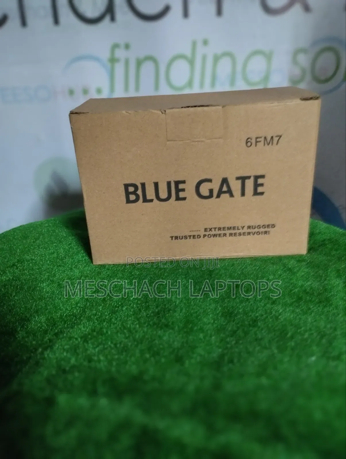 Blue Gate UPS Battery 6fm7