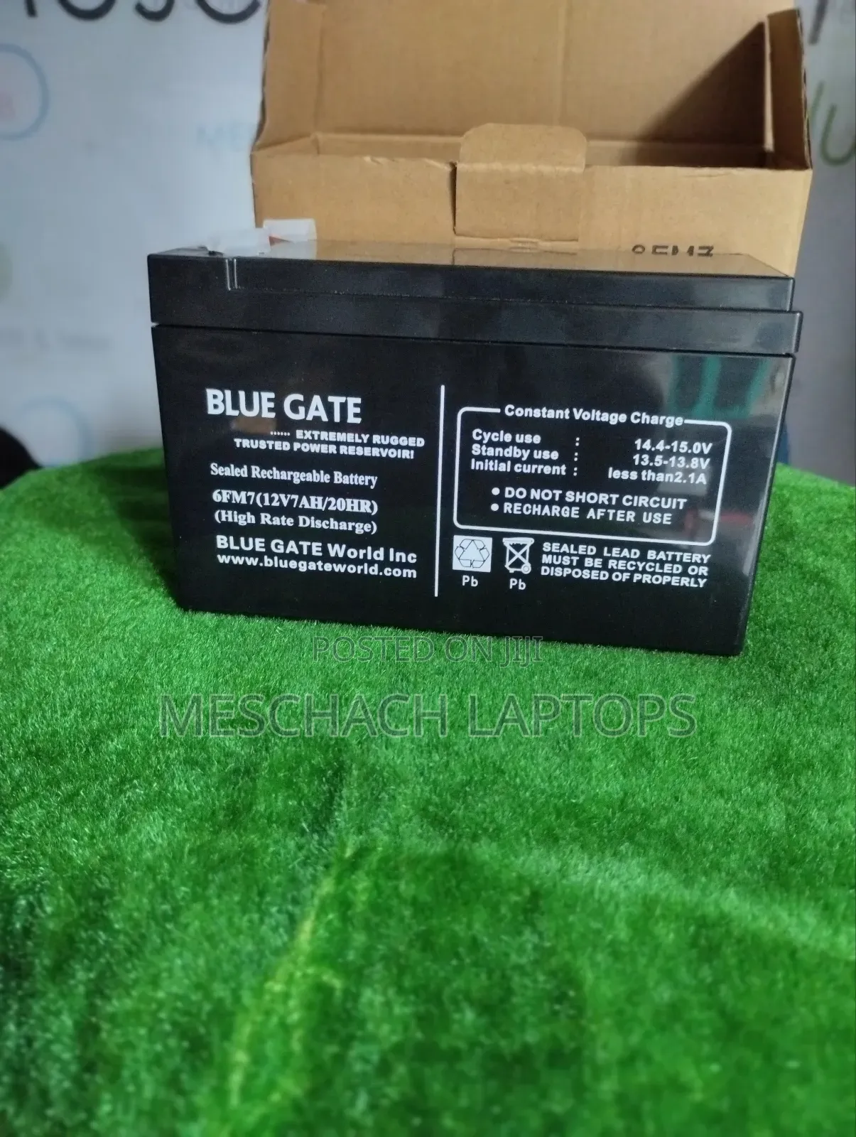 Blue Gate UPS Battery 6fm7