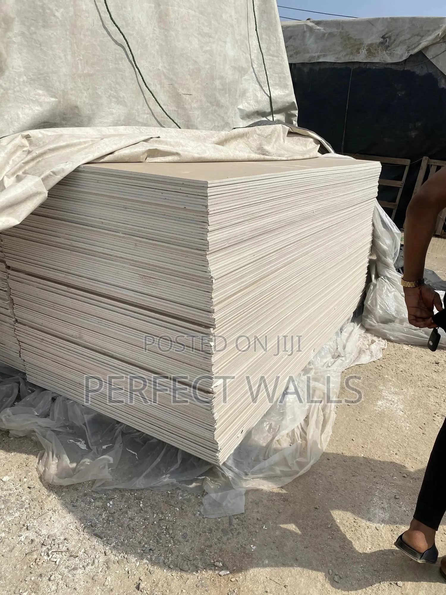 Plaster Board