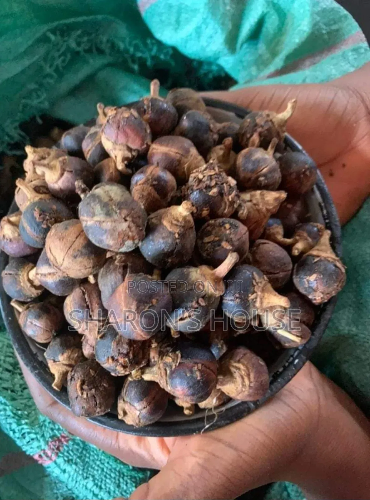 Gorontula Fruit, Silky Kola, Snot Apple