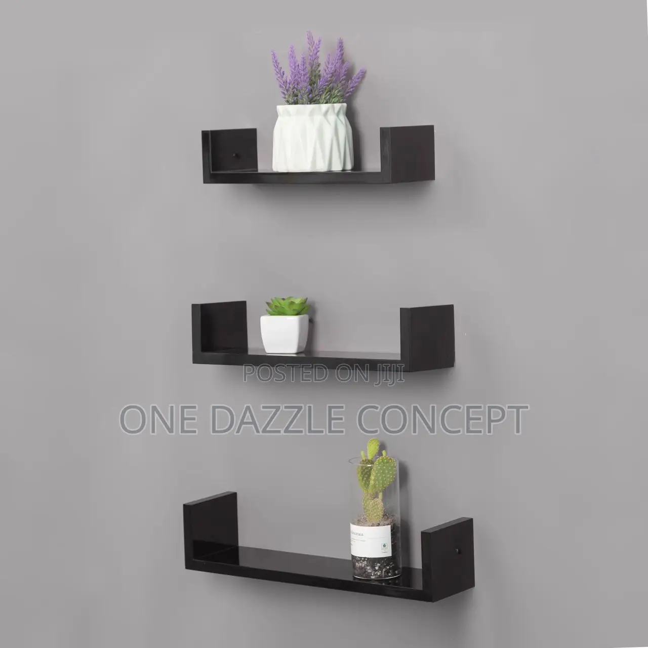 Wall Mounted Display Shelve