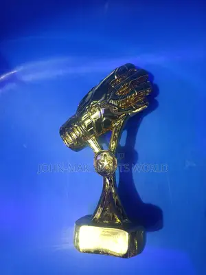 Photo - Golden Glove Award