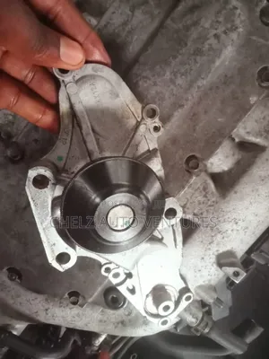 Water Pump Acura Tl 2009