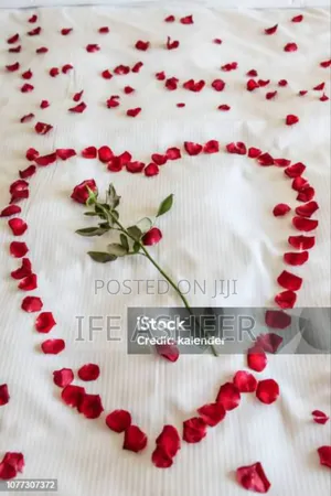 Red Petals With a Scented Rose Flower - Red