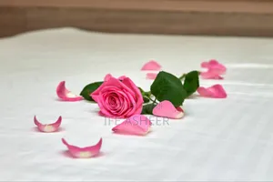 Pink Petals With a Scented Rose Flower - Pink