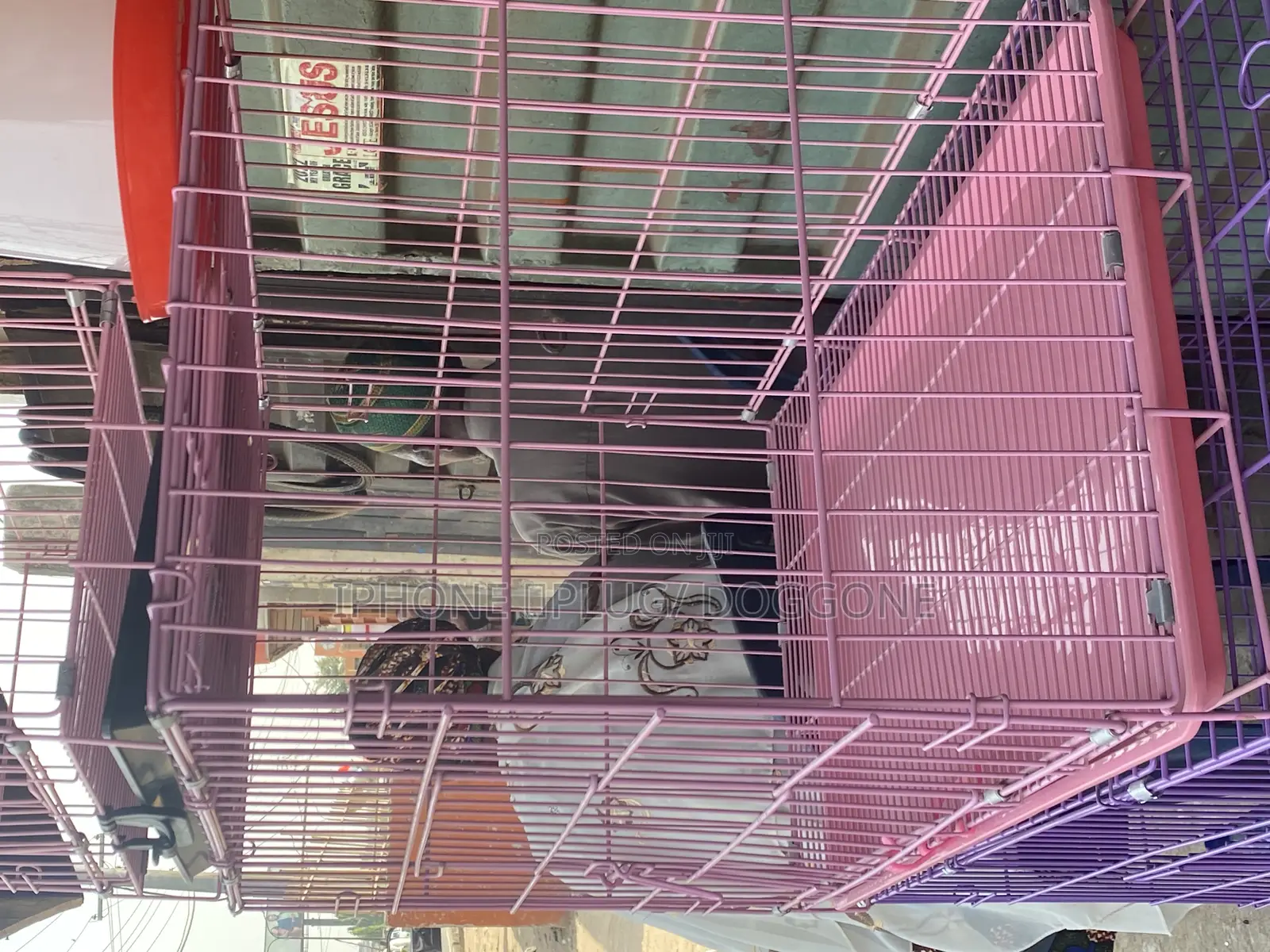 Collapsible Cages