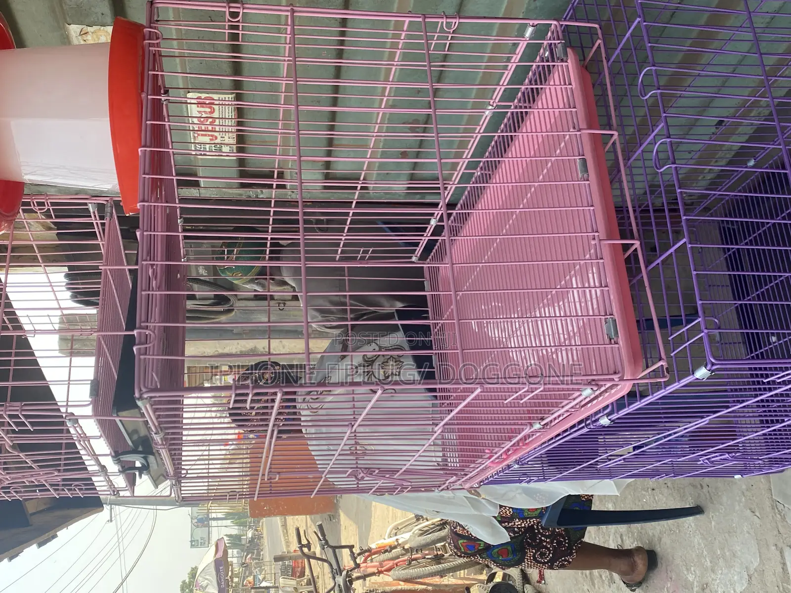 Collapsible Cages