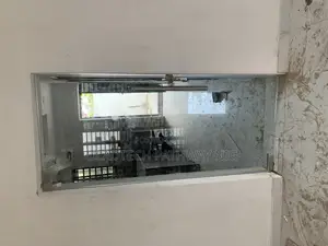 Frameless Glass Door