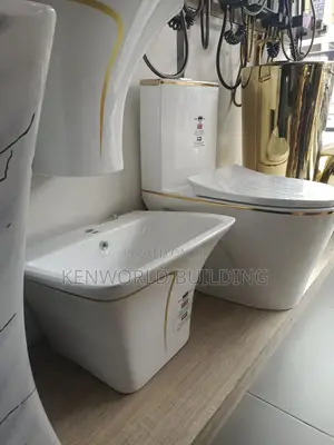 Luxurious Set of Water Closet