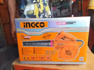 Air Blower 650w With 2 Functions