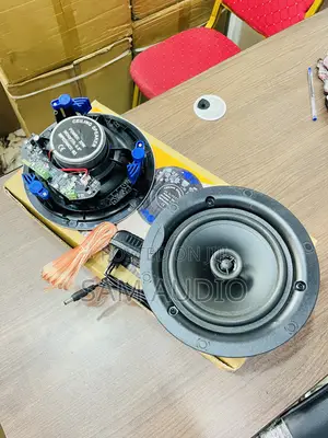 30watts Ceiling Speaker