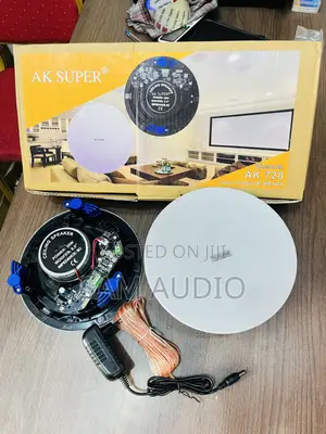 30watts Ceiling Speaker