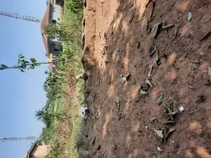 6 Plots of Commercial Bareland