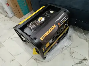 Sustainable Firman 3500W Generator(Fpg4800e2)