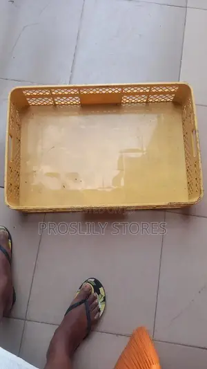 Fruit/Perforated Crates/Baskets 60cm X 40cm X 11cm