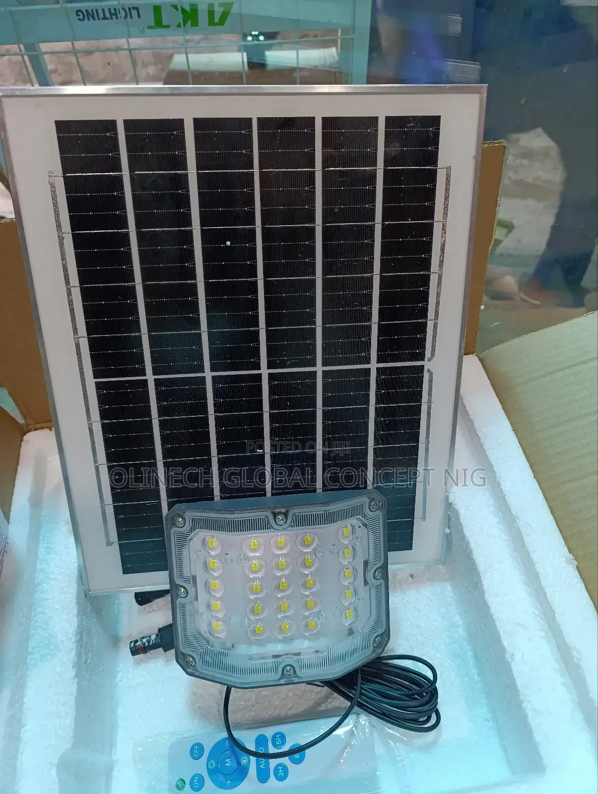 Solar Flood Light
