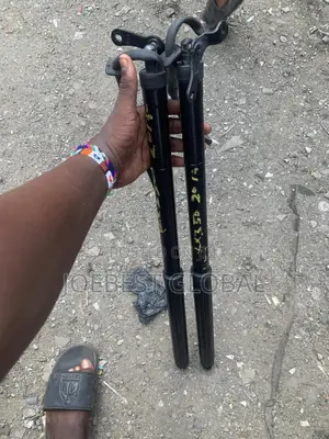 Boot Shock Automatic RX 350 2018 Lexus