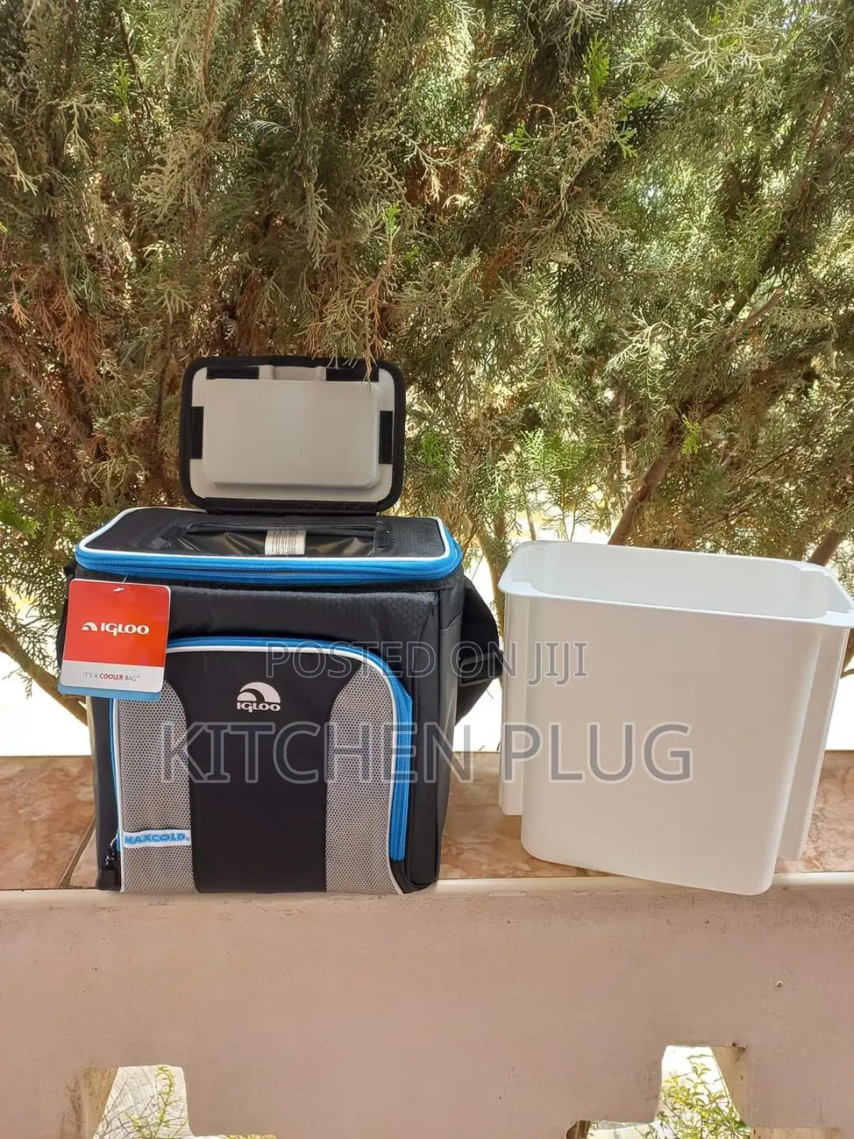 Igloo Maxcold Hard Liner - 24 Can - Multi Purpose Cooler