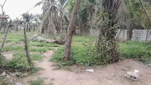 Land for Sale in Idu