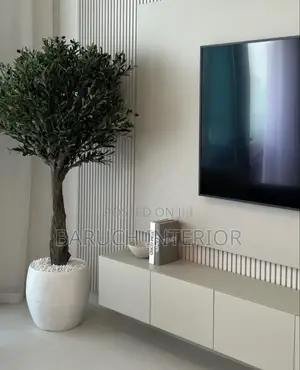 Sleek and Modern TV Consoles