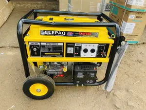 Original Constant Elepaq Generator (Model Sv22000E2) for Sale