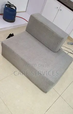 Professional Before and After Cleaning