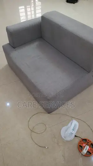 Professional Before and After Cleaning