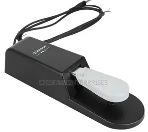 Alctron Sustain Pedal