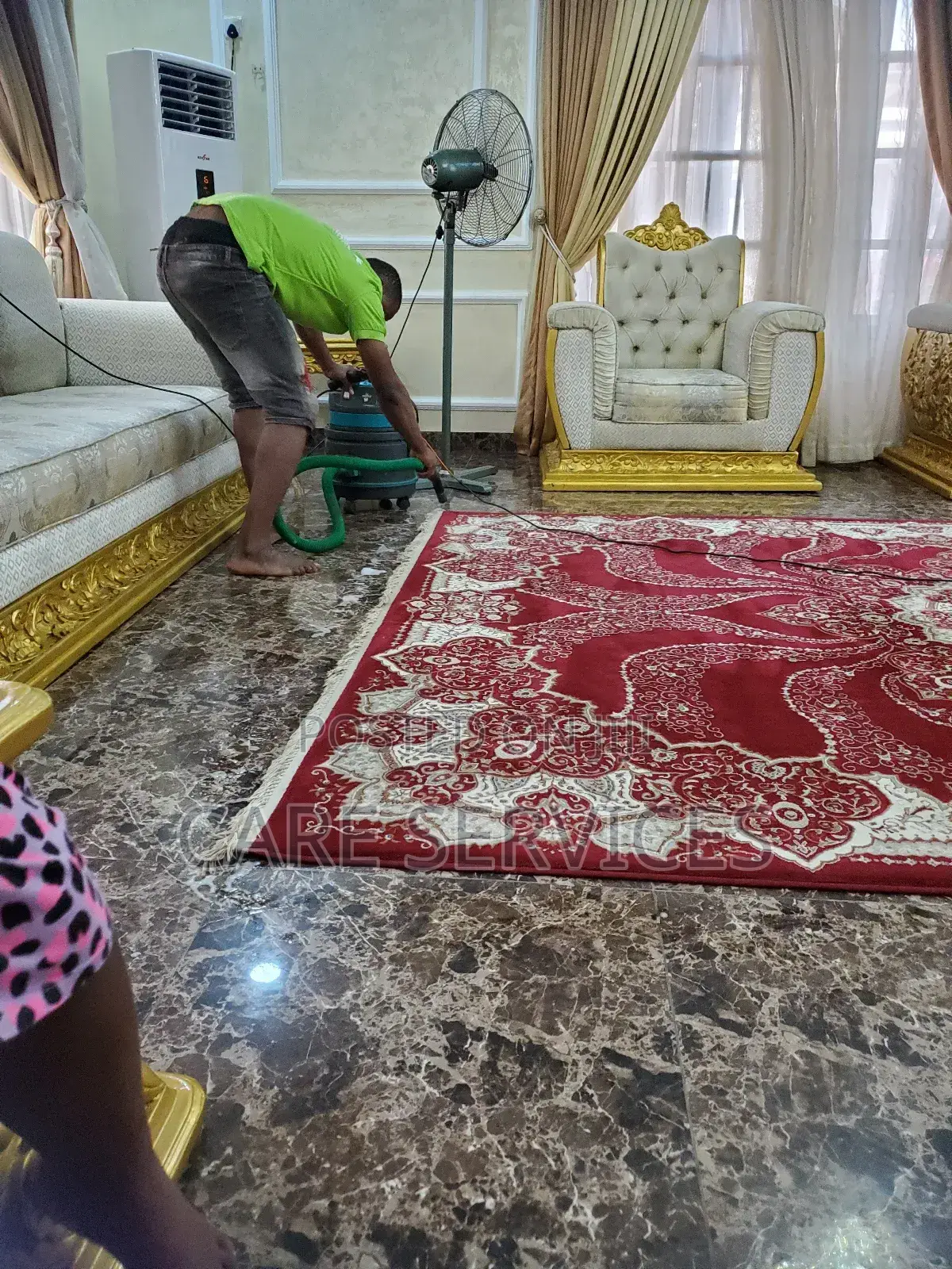 Expert Royal Couch Cleaning and Restoration