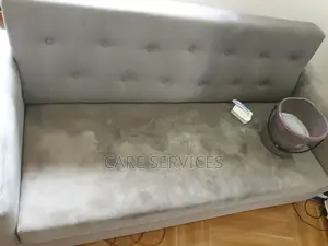Couch Furniture Cleaning Services