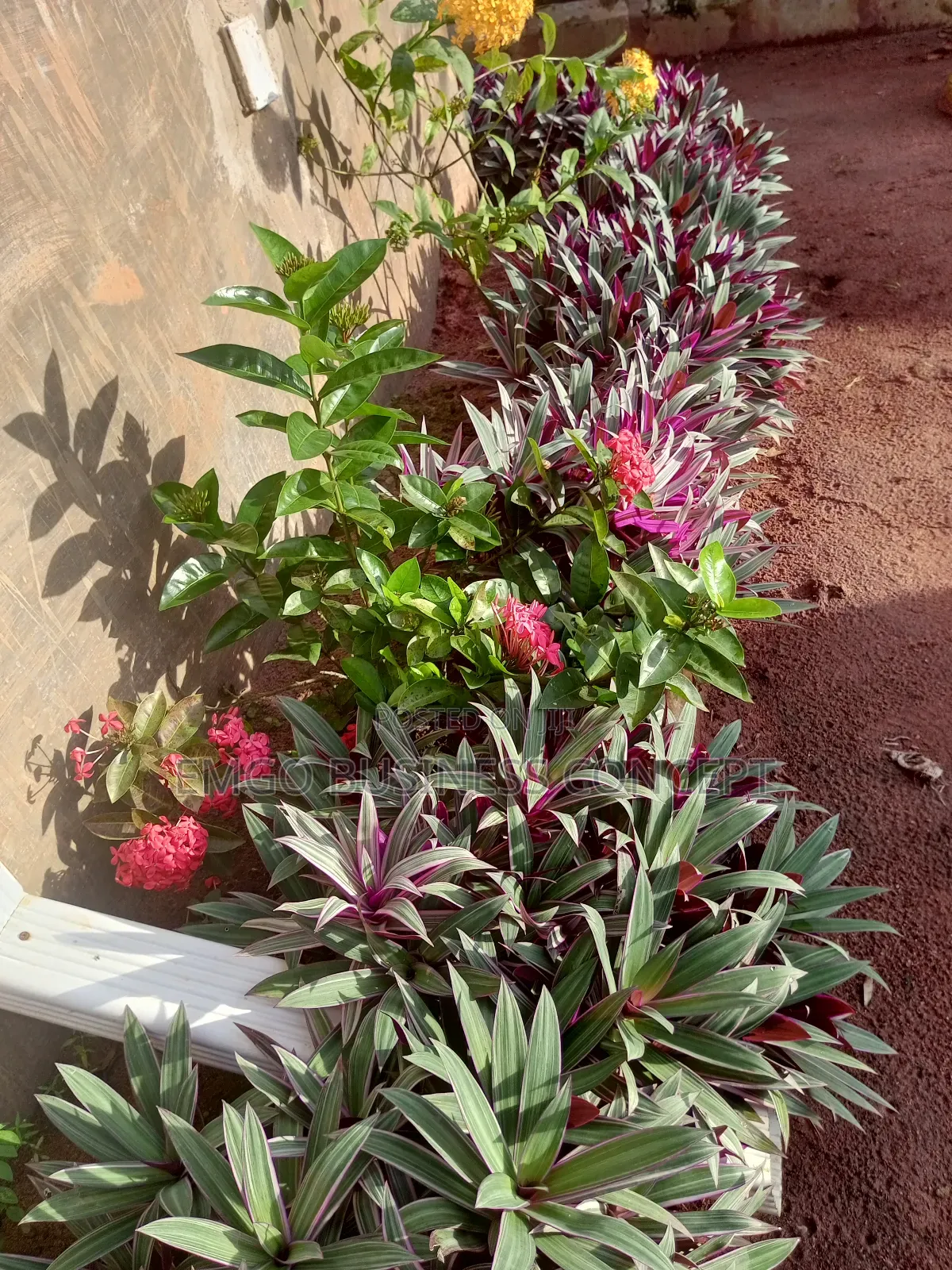 Hire a Gardener