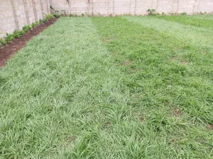 Hire a Gardener