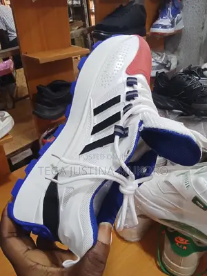 High Quality Fashion Nova Sneakers