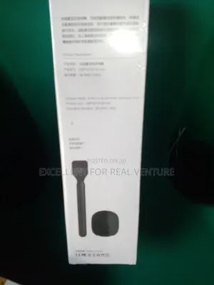 Wireless Microphone Handheld Stick