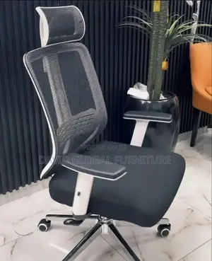 Ergonomic Chair