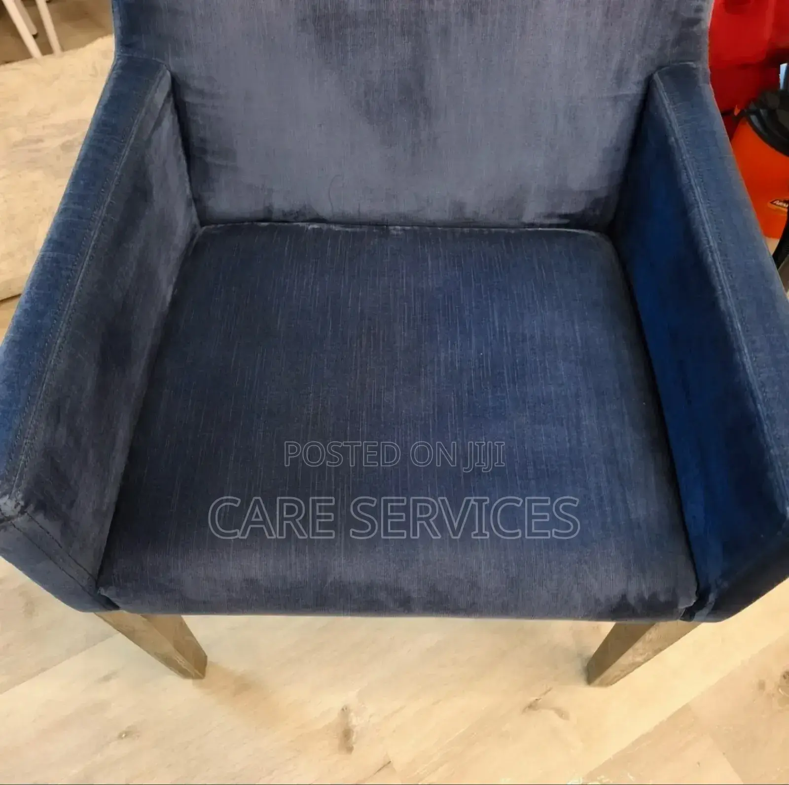 Professional Cleaning Services