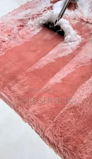 Professional Carpet/Rug Cleaning