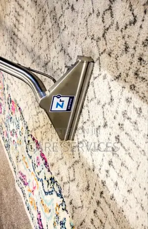 Top Best Rug/ Carpet Cleaning