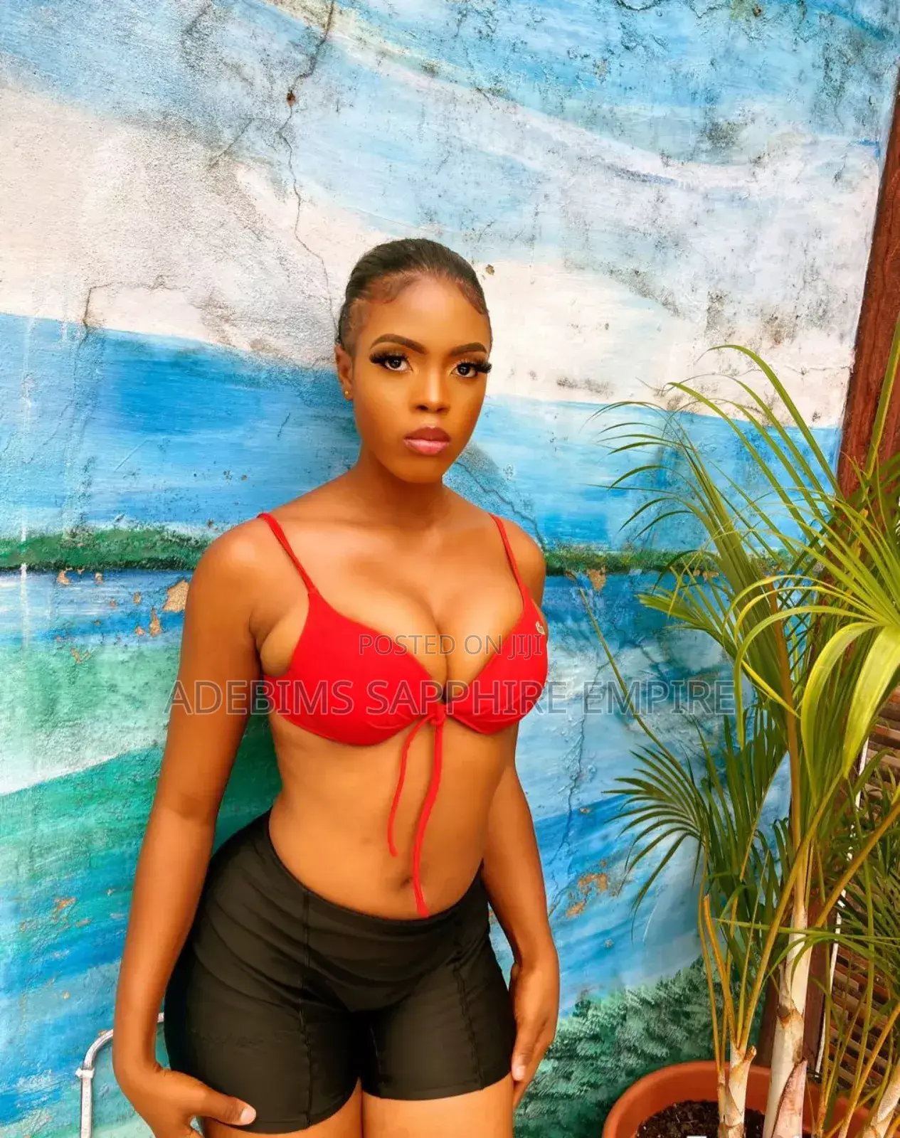 Models,Vixens And Dancers
