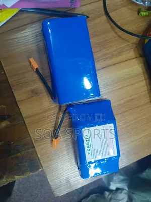 Hoverboard Battery No1