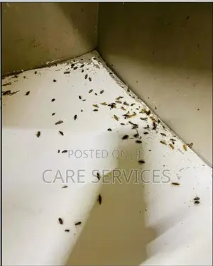 House Fumigation Services