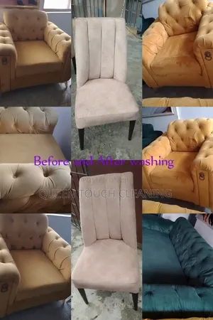Professional Cleaning Services