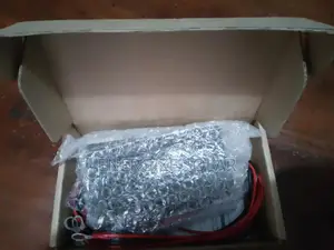 48v Battery Equalizer for Longer Lifespan