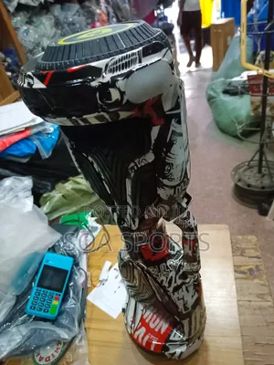Hoverboard Standard