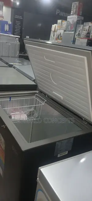Skyrun Chest Freezer Bd-90a