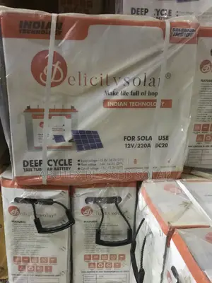 220ah Pelicity Tall Tubular Battery Indian