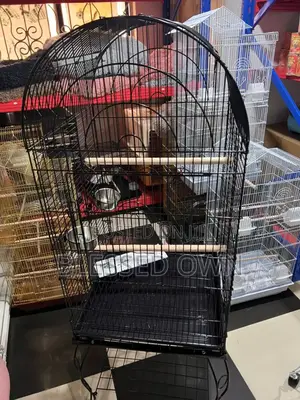 Foreign Parrot Cage