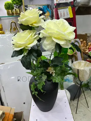 POTTED ROSES . Beautiful Flower Setup. .